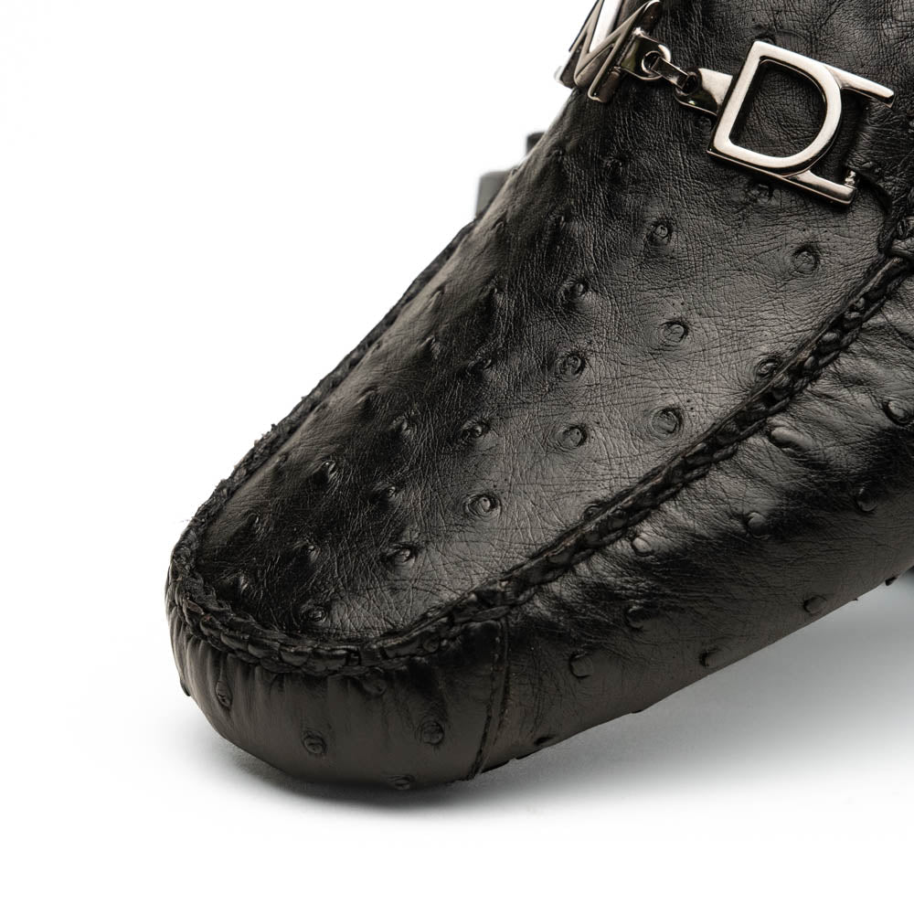 Bolonia Black