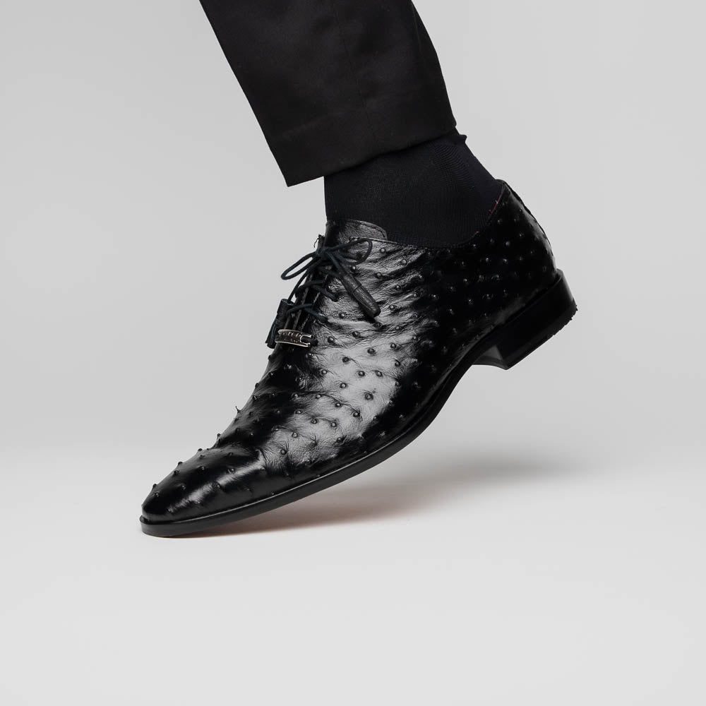 Criss Black