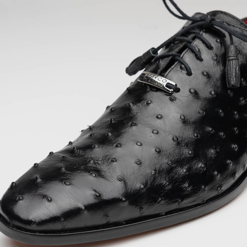 Criss Black